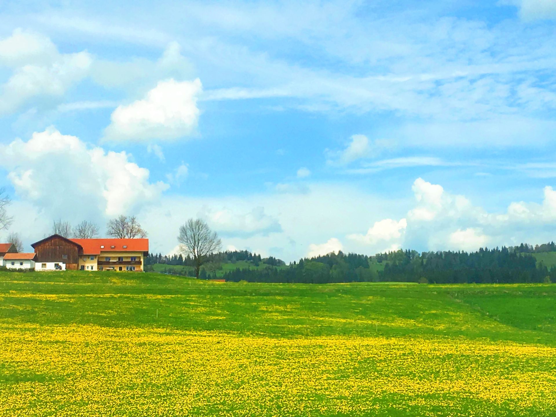 ヨーロッパの田舎